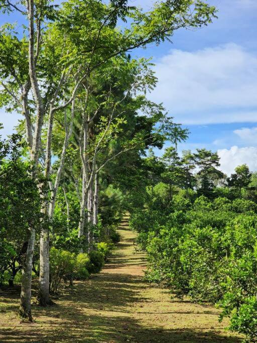 Hospedaje Finca Agroturistica Dona Rufa Rio Sereno Εξωτερικό φωτογραφία