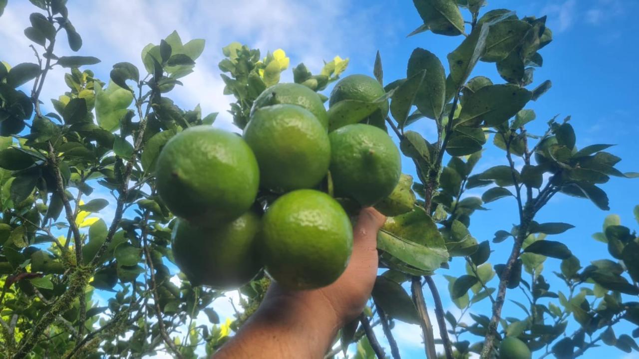 Hospedaje Finca Agroturistica Dona Rufa Rio Sereno Εξωτερικό φωτογραφία