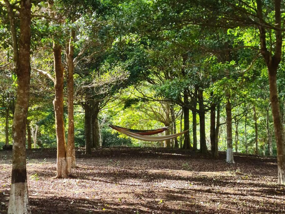 Hospedaje Finca Agroturistica Dona Rufa Rio Sereno Εξωτερικό φωτογραφία