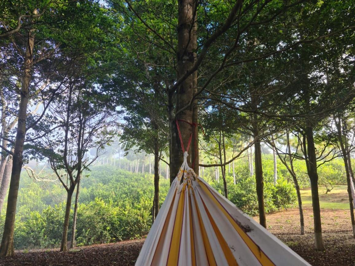 Hospedaje Finca Agroturistica Dona Rufa Rio Sereno Εξωτερικό φωτογραφία