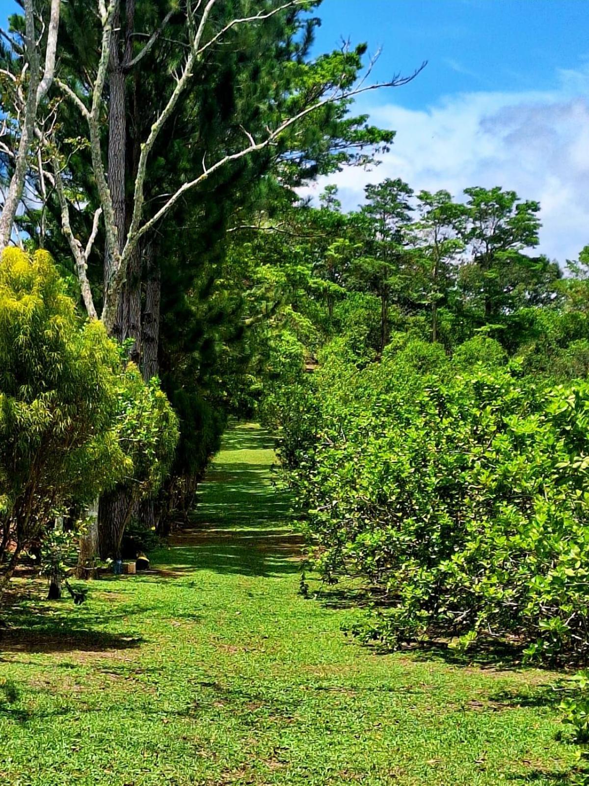 Hospedaje Finca Agroturistica Dona Rufa Rio Sereno Δωμάτιο φωτογραφία